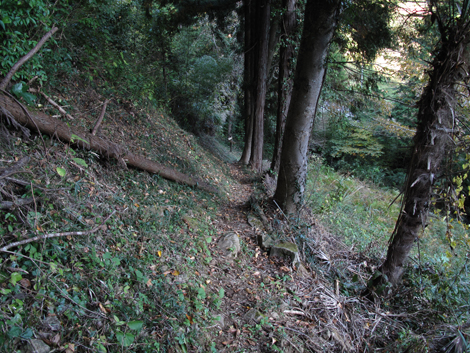 20171102hike (356)